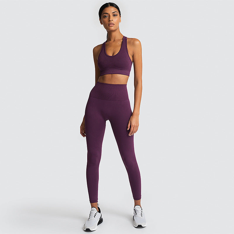 Seamless Gym Set Nylon Woman Sportswear - Dignitestore Purple red / S Suits and Set