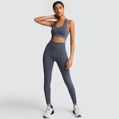 Seamless Gym Set Nylon Woman Sportswear - Dignitestore Dark grey / M Suits and Set
