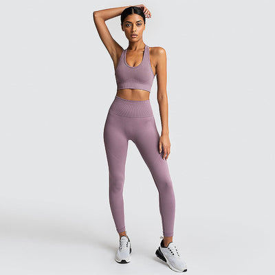 Seamless Gym Set Nylon Woman Sportswear - Dignitestore Lotus root purple / L Suits and Set