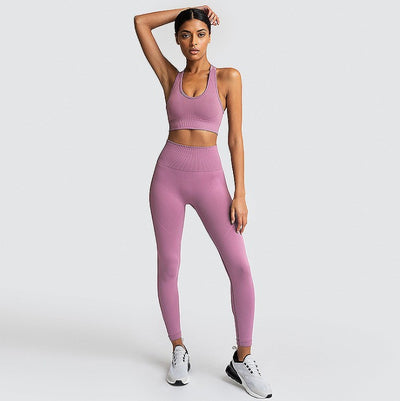 Seamless Gym Set Nylon Woman Sportswear - Dignitestore Taro purple / M Suits and Set